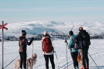 Skiing