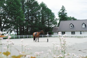 Horseback riding