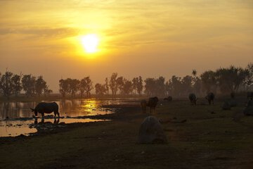 Game drive