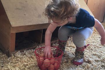 Children's activities