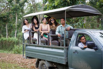 Safari