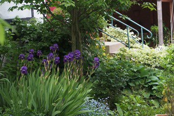 Courtyard view