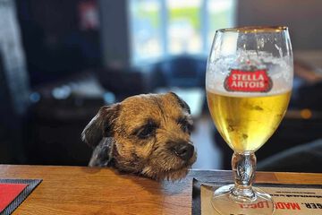 Pet-friendly amenities