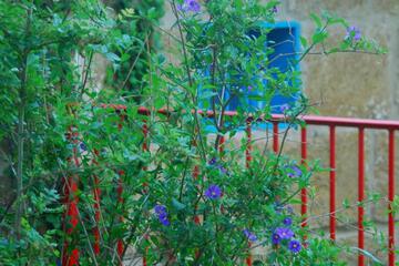 Photo 33