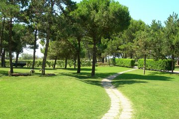 Photo 29