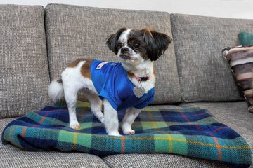 Pet Friendly 44 of 44