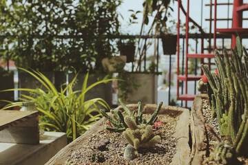 Rooftop terrace