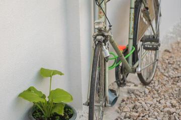 Photo 34