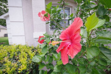 Photo 33