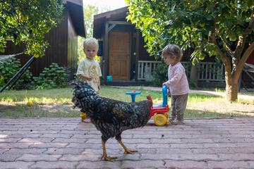 Children's activities