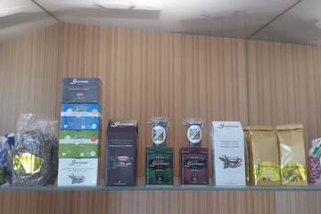Gift shop