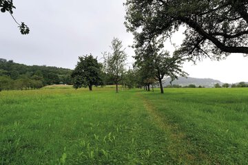Hiking