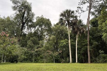 Property Grounds 57 of 58