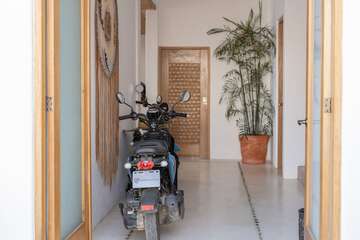 Scooter/moped