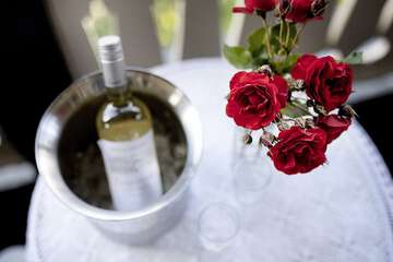 Couples dining