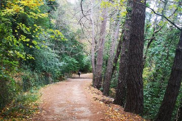 Hiking