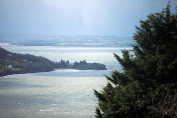 Photo 48
