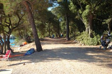 Photo 30