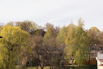 City view from property