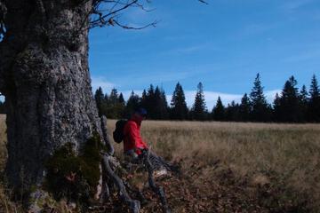 Photo 50