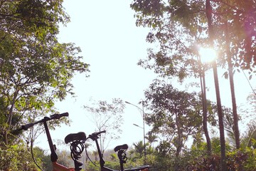 Bicycling