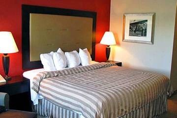 Suite Room