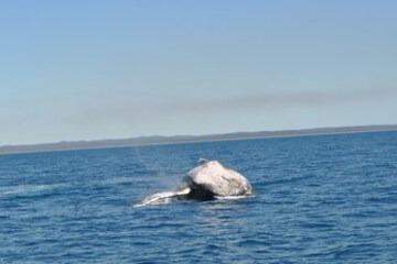 Children’s Activities