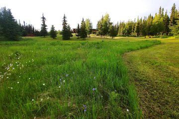 Land view from property