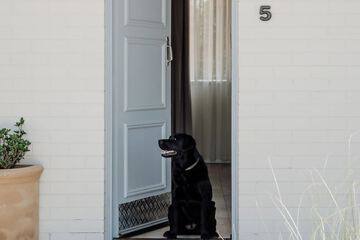 Pet-friendly