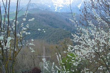 Photo 32