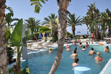 Exercise/lap pool