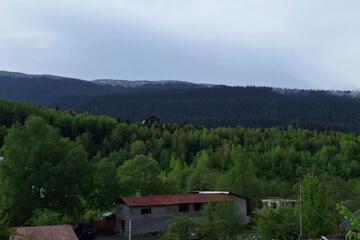 Photo 43