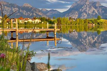 Photo 79