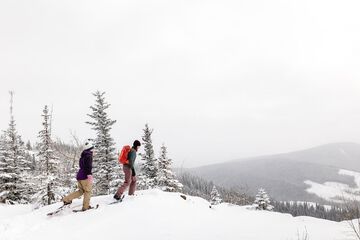 Snowshoeing