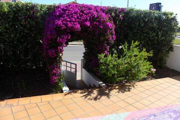 Photo 54