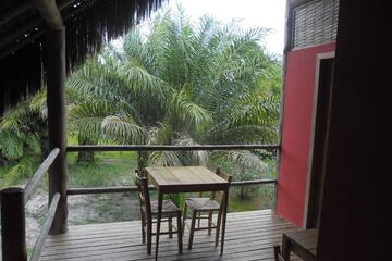 Photo 27