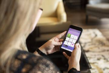 Cleanliness standards