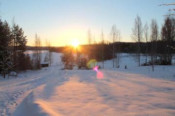 Photo 39