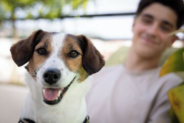 Pet-friendly
