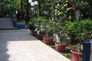 Photo 49
