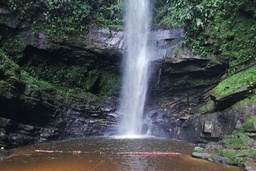 Ecotours