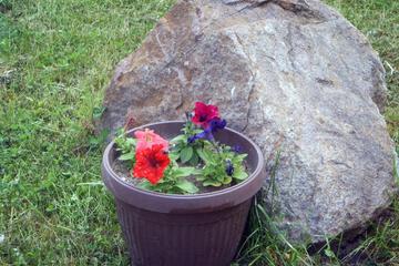 Photo 24