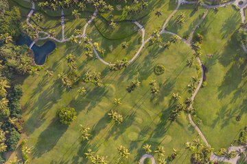 Mini-golf