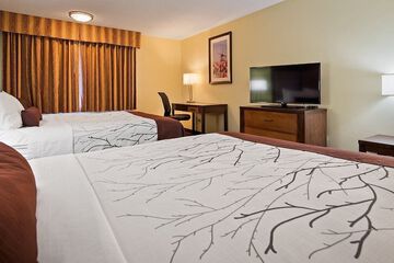 Room 42 of 62