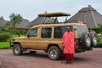 Safari