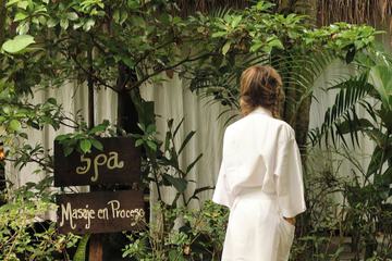 Spa reception