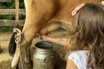 Children's activities