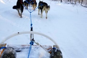 Sledding