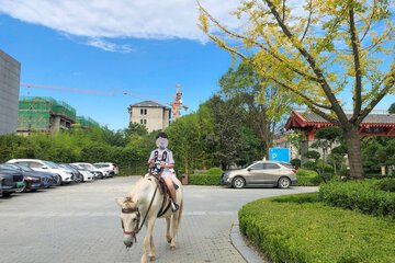 Horseback riding