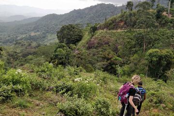 Hiking